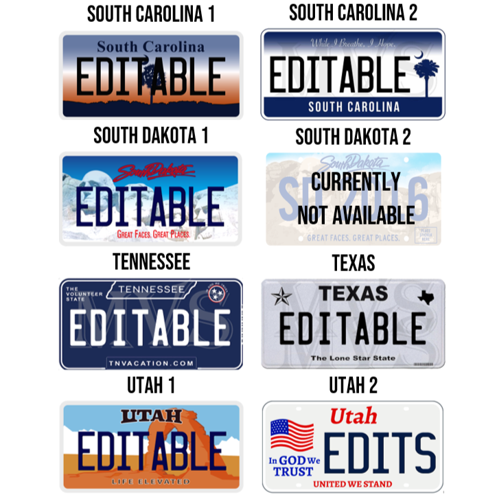 Personalized Generic State License Plate