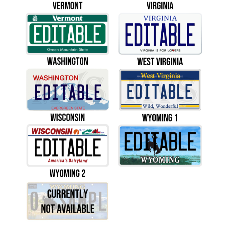 Personalized Generic State License Plate