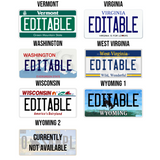 Personalized Generic State License Plate