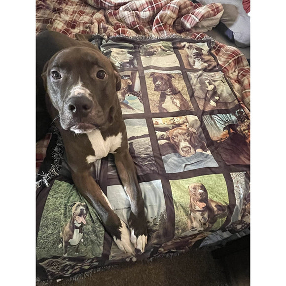 All About My Pet Personalized Throw Blanket - 4Keepsake LLC