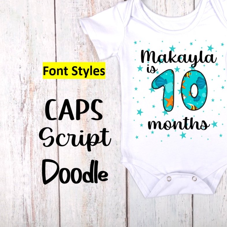 Baby Monthly Milestone Bodysuit Onesie - 4Keepsake LLC
