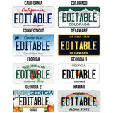 Personalized Generic State License Plate - 4Keepsake LLC