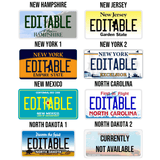 Personalized Generic State License Plate - 4Keepsake LLC